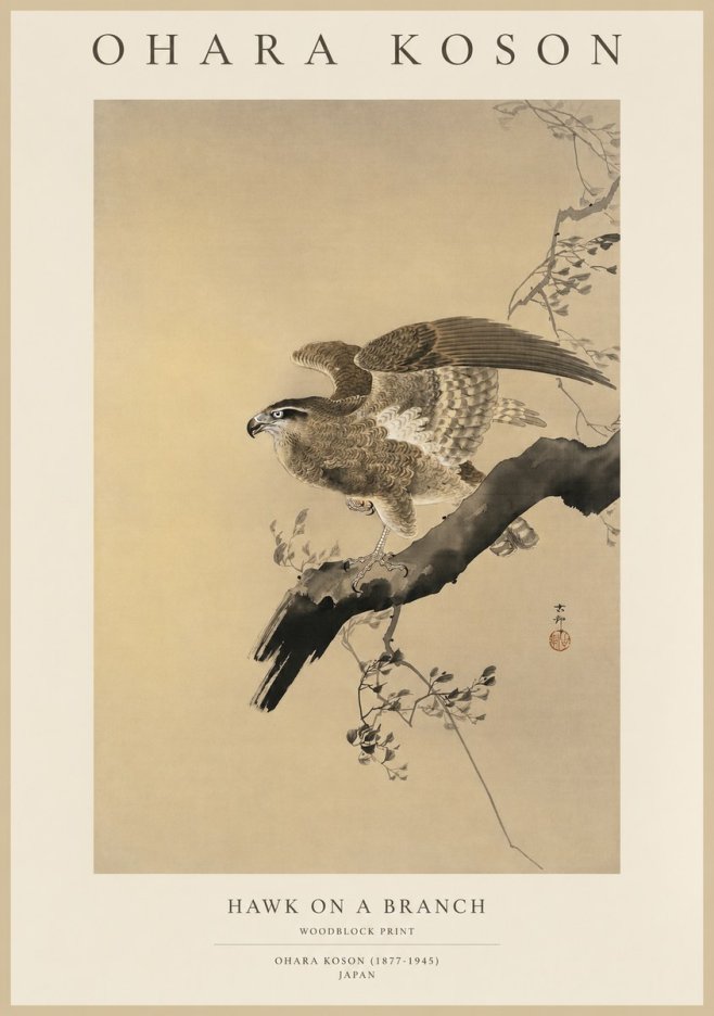 Ohara Koson Hawk on a Branch I No1 - Plakát