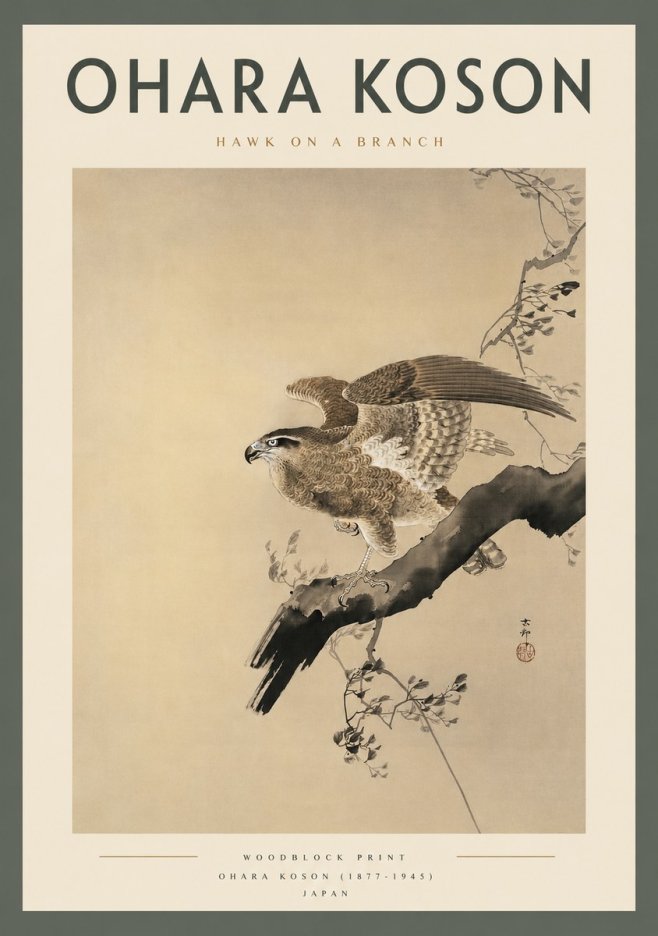 Ohara Koson Hawk on a Branch I No2 - Plakát