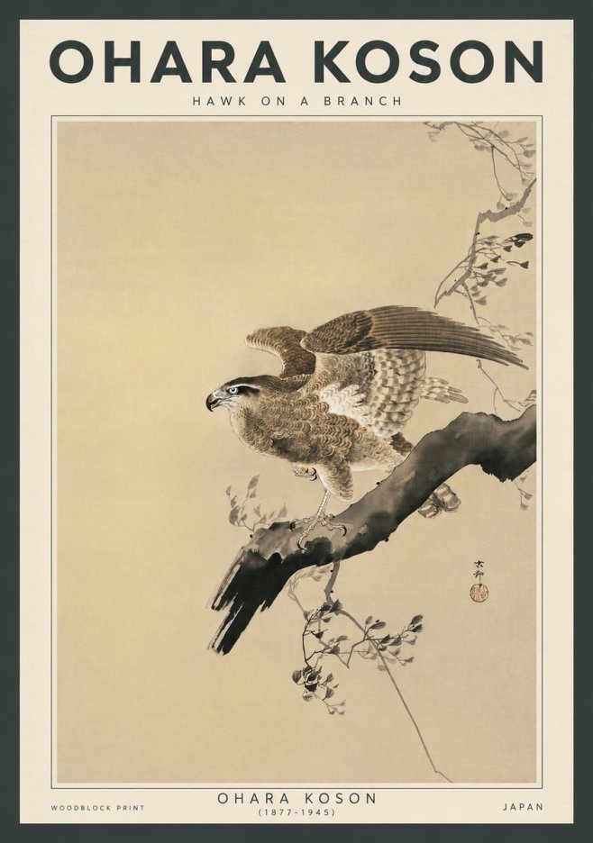 Ohara Koson Hawk on a Branch I No3 - Plakát