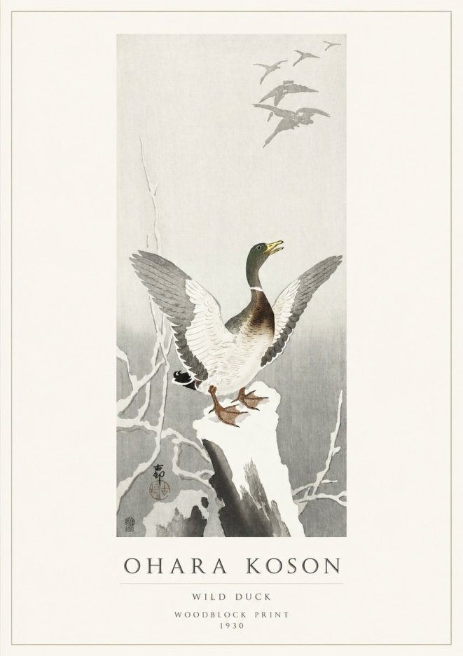 Ohara Koson Wild Duck No1 - Plakát