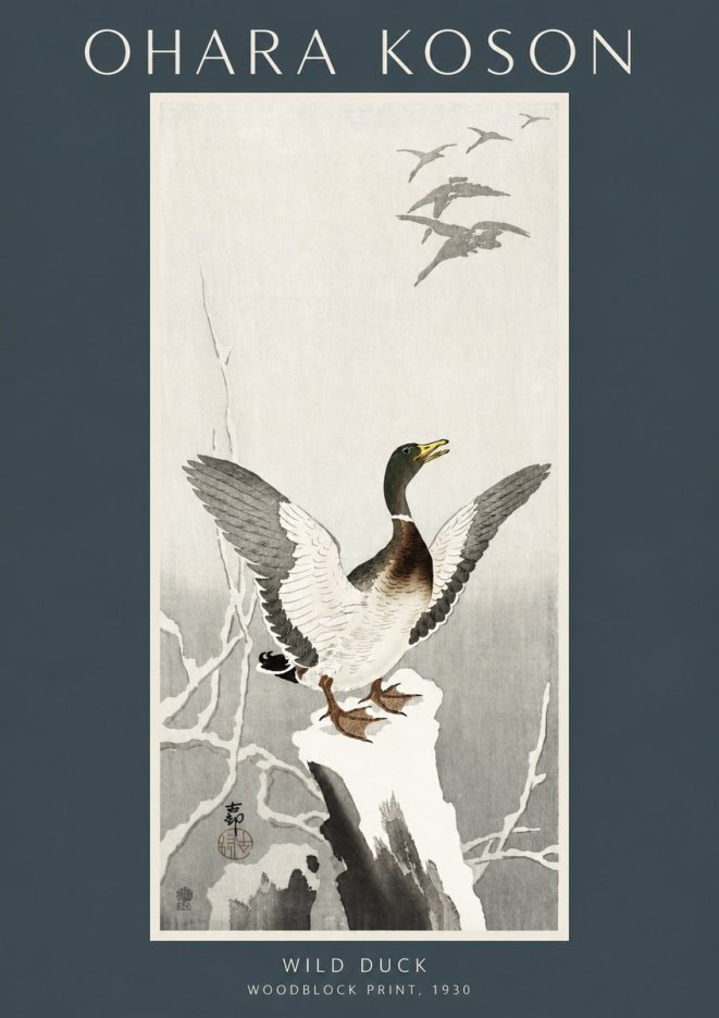 Ohara Koson Wild Duck No2 - Plakát