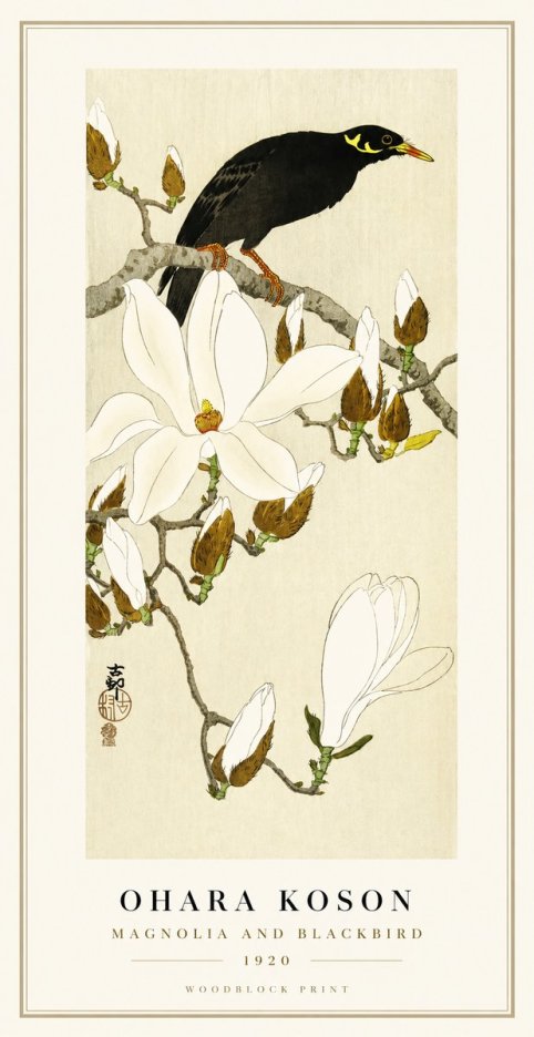 Ohara Koson Magnolia and Blackbird No1 - Plakát