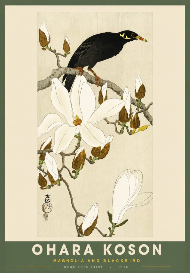 Ohara Koson Magnolia and Blackbird No2 - Plakát