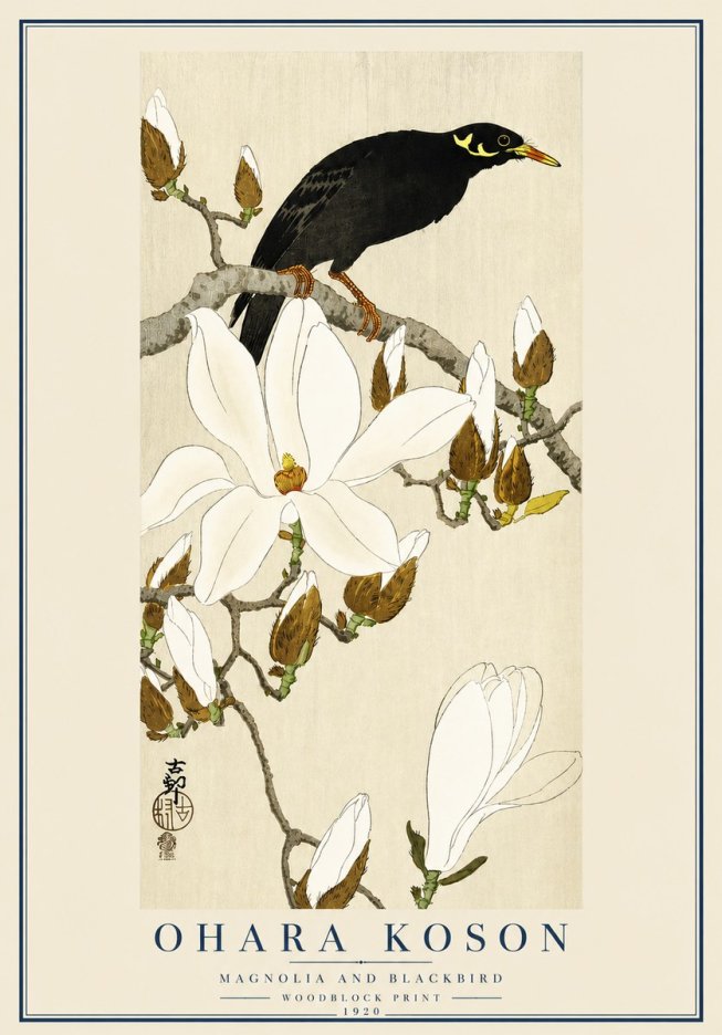Ohara Koson Magnolia and Blackbird No3 - Plakát