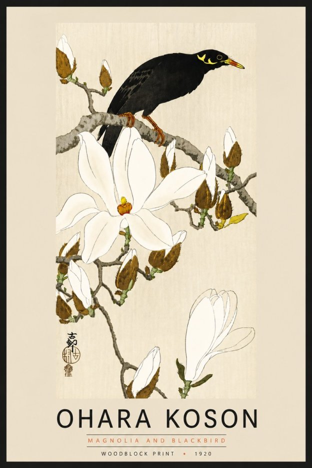 Ohara Koson Magnolia and Blackbird No6 - Plakát