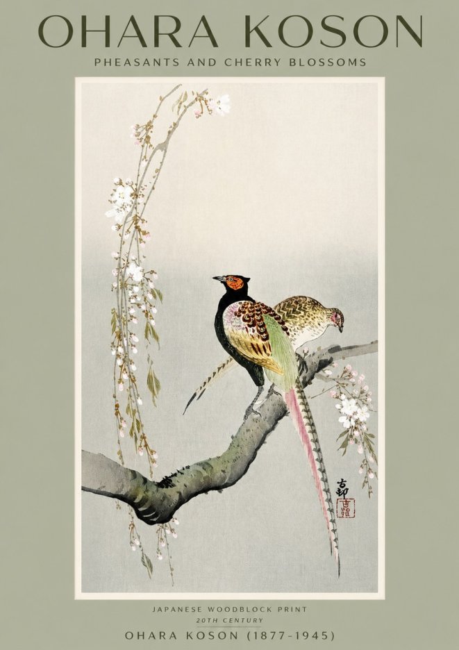 Ohara Koson Pheasants and Cherry Blossoms II No2 - Plakát