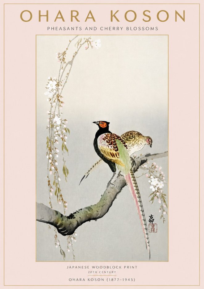 Ohara Koson Pheasants and Cherry Blossoms II No3 - Plakát