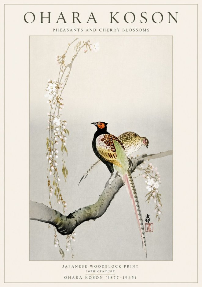 Ohara Koson Pheasants and Cherry Blossoms II No5 - Plakát