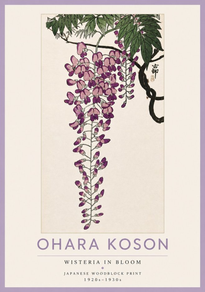 Ohara Koson Wisteria in Bloom No4 - Plakát