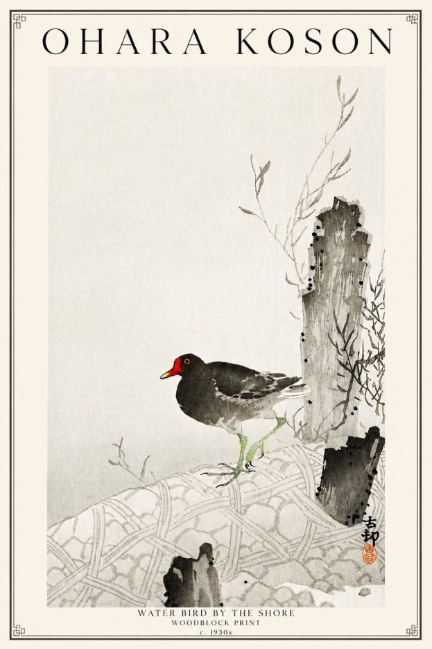 Ohara Koson Water Bird by the Shore No3 - Plakát