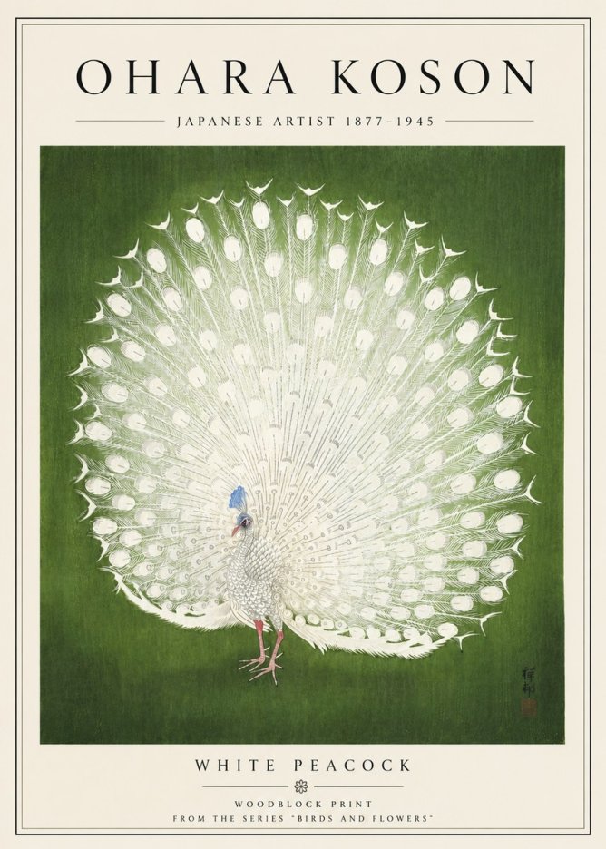 Ohara Koson White Peacock No5 - Plakát