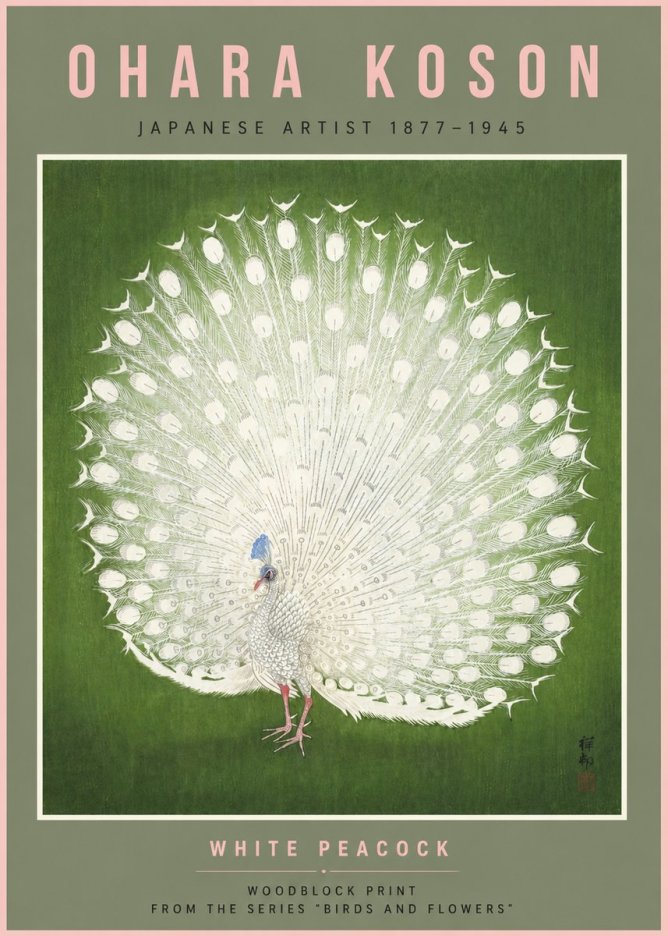 Ohara Koson White Peacock No6 - Plakát