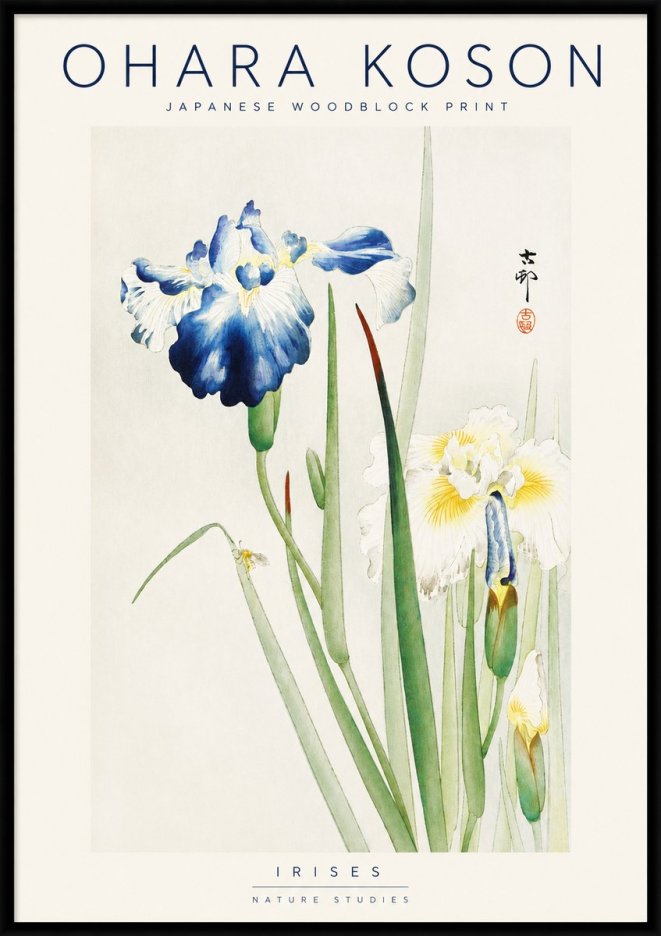 Ohara Koson Irises II No3 - Plakát