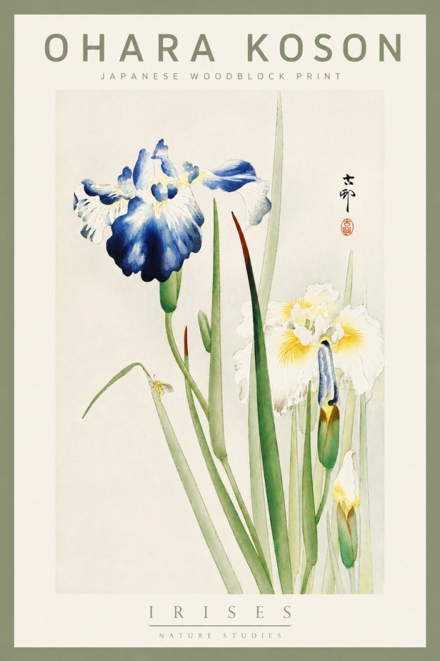 Ohara Koson Irises II No5 - Plakát