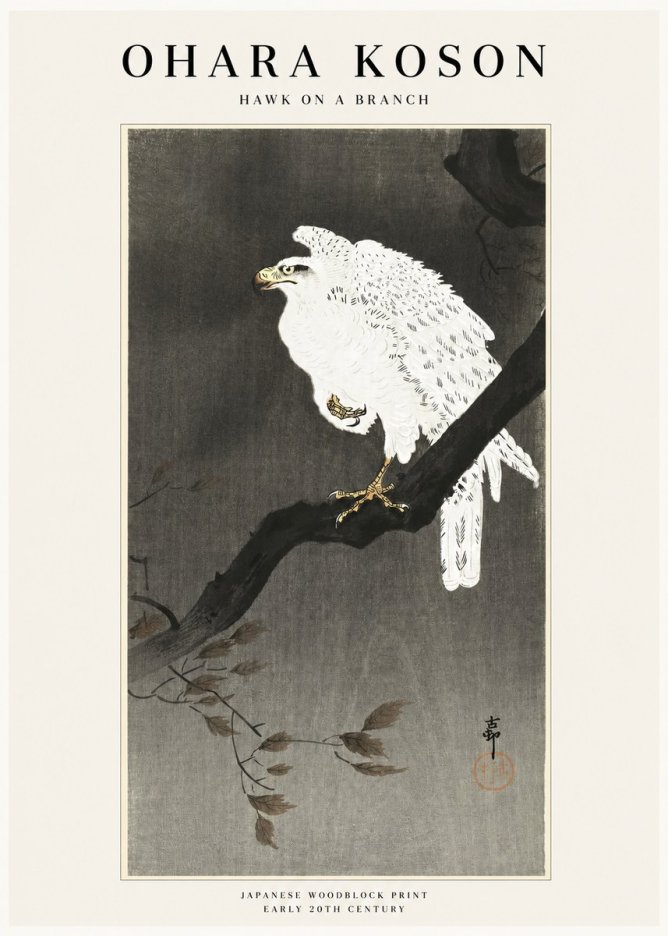 Ohara Koson Hawk on a Branch II No1 - Plakát