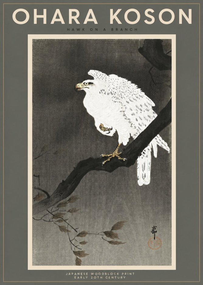 Ohara Koson Hawk on a Branch II No2 - Plakát