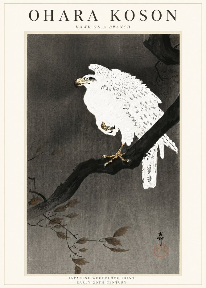 Ohara Koson Hawk on a Branch II No3 - Plakát