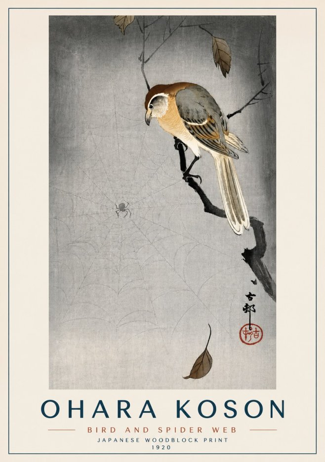 Ohara Koson Bird and Spider Web II No3 - Plakát
