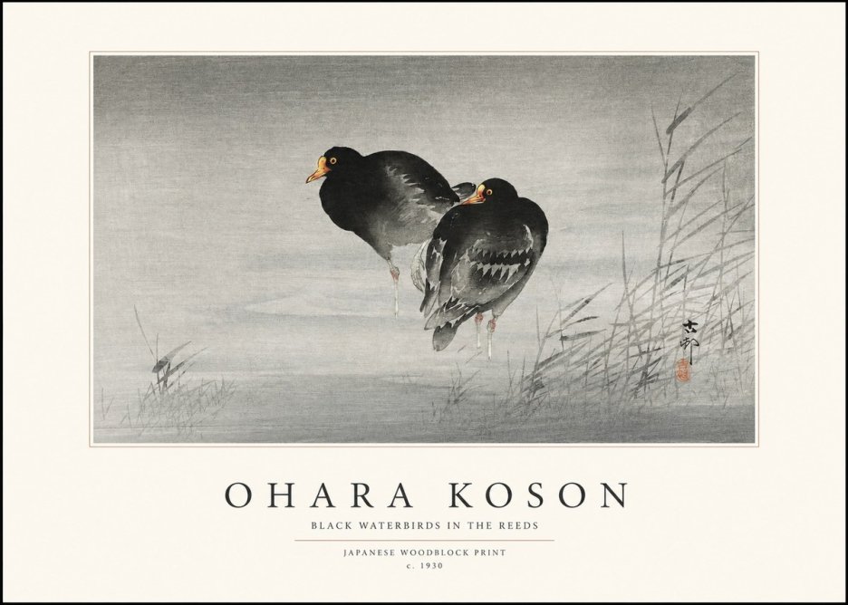 Ohara Koson Black Waterbirds in the Reeds No1 - Plakát