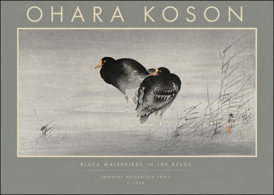 Ohara Koson Black Waterbirds in the Reeds No2 - Plakát