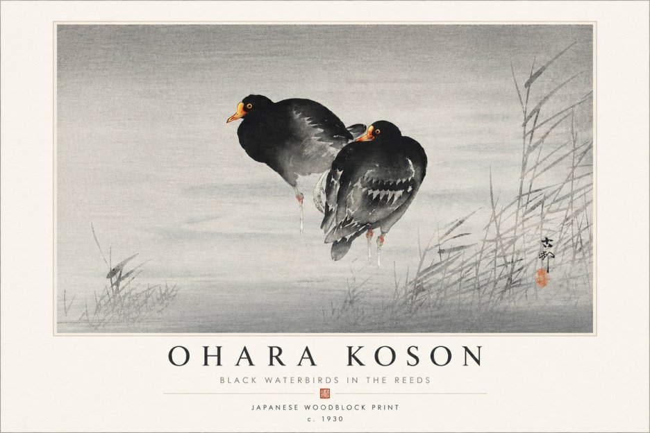 Ohara Koson Black Waterbirds in the Reeds No4 - Plakát