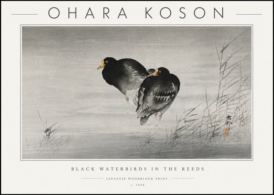 Ohara Koson Black Waterbirds in the Reeds No6 - Plakát