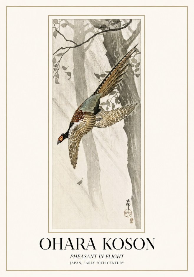 Ohara Koson Pheasant in Flight No1 - Plakát