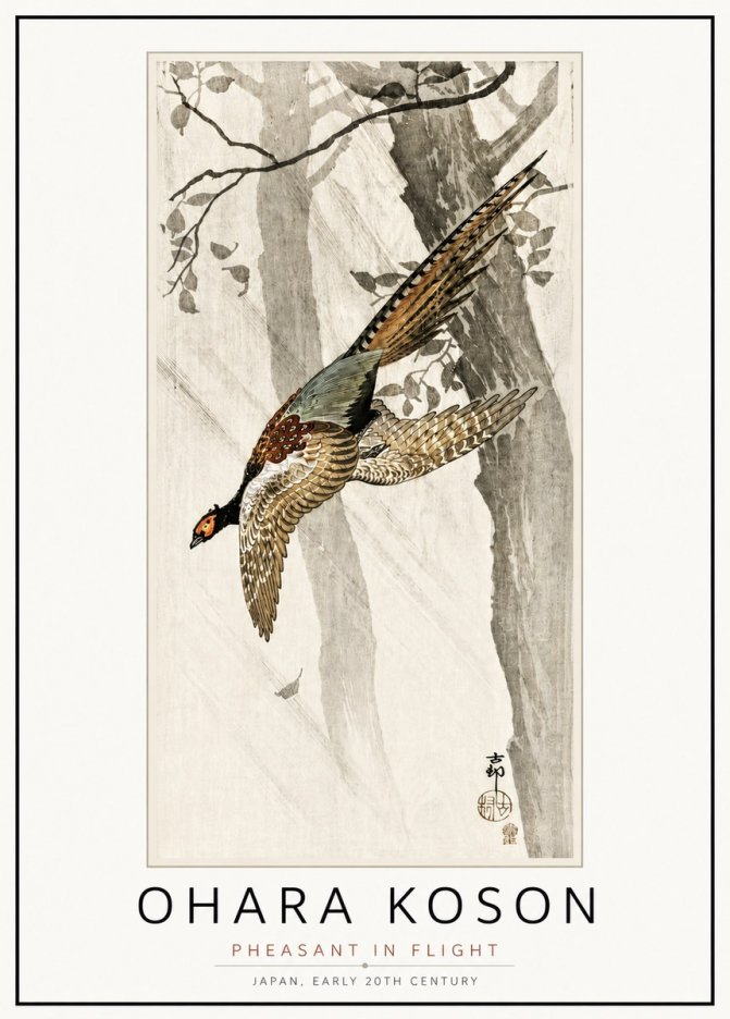 Ohara Koson Pheasant in Flight No4 - Plakát