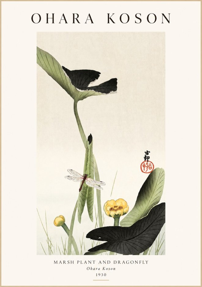 Ohara Koson Marsh Plant and Dragonfly No1 - Plakát