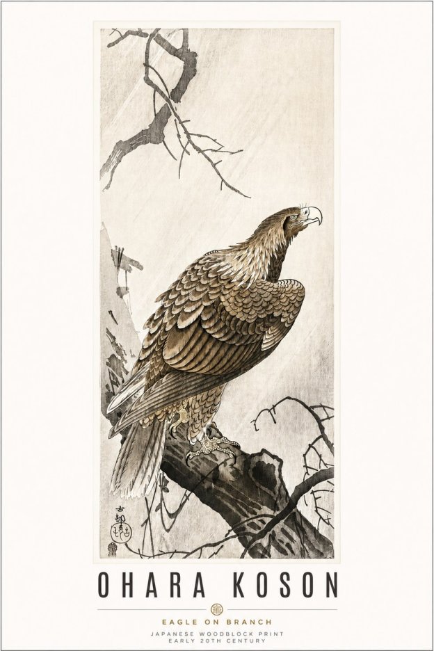 Ohara Koson Eagle on Branch No3 - Plakát