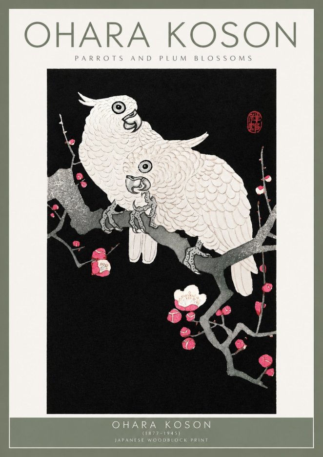 Ohara Koson Parrots and Plum Blossoms No2 - Plakát