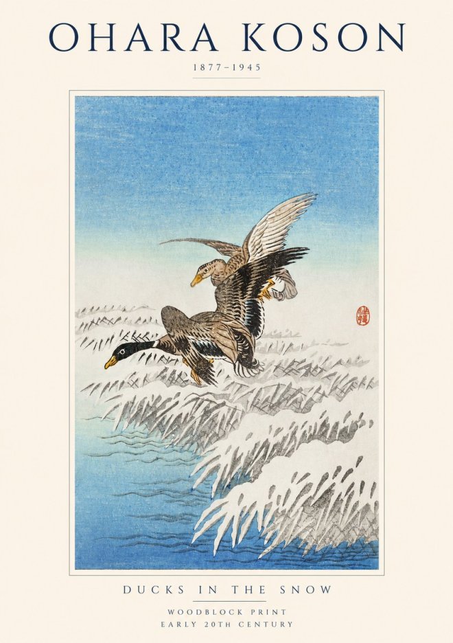 Ohara Koson Ducks in the Snow No1 - Plakát