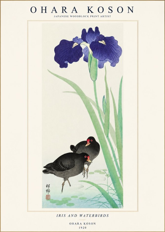 Ohara Koson Iris and Waterbirds No1 - Plakát