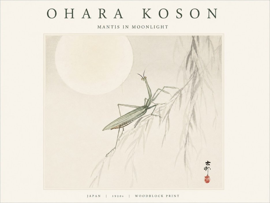 Ohara Koson Mantis in Moonlight No1 - Plakát