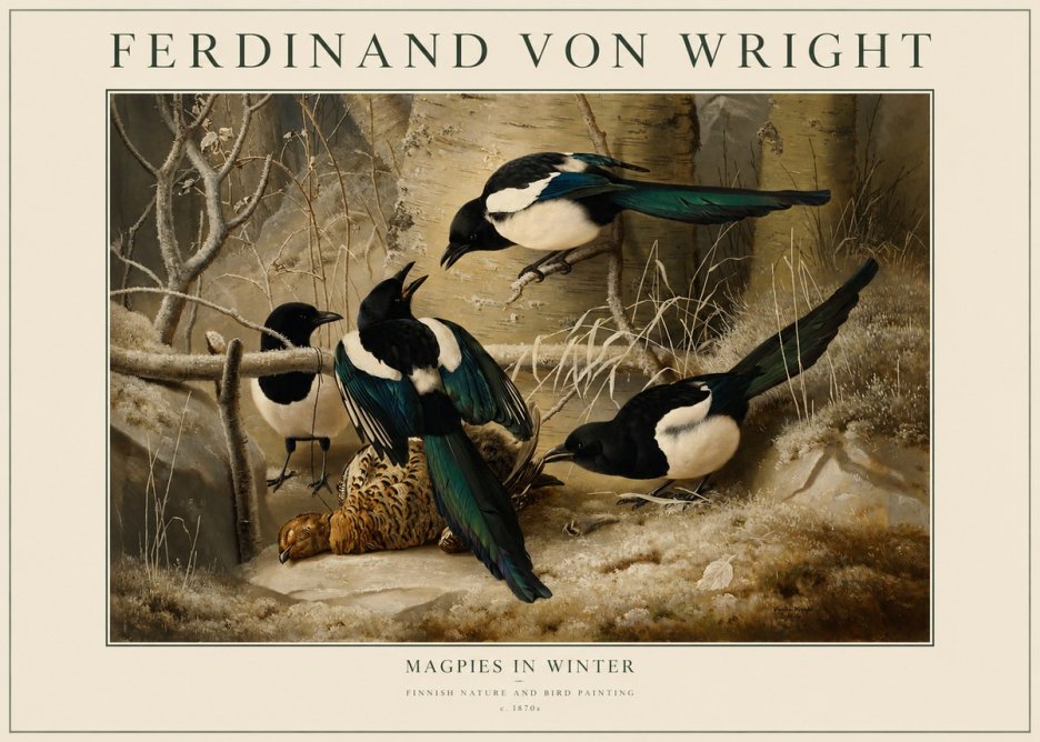 Ferdinand von Wright Magpies in Winter No1 - Plakát