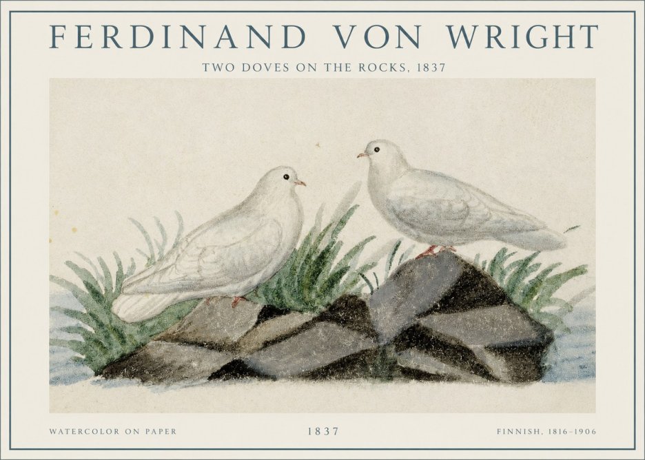 Ferdinand von Wright Two Doves on the Rocks, 1837 No1 - Plakát