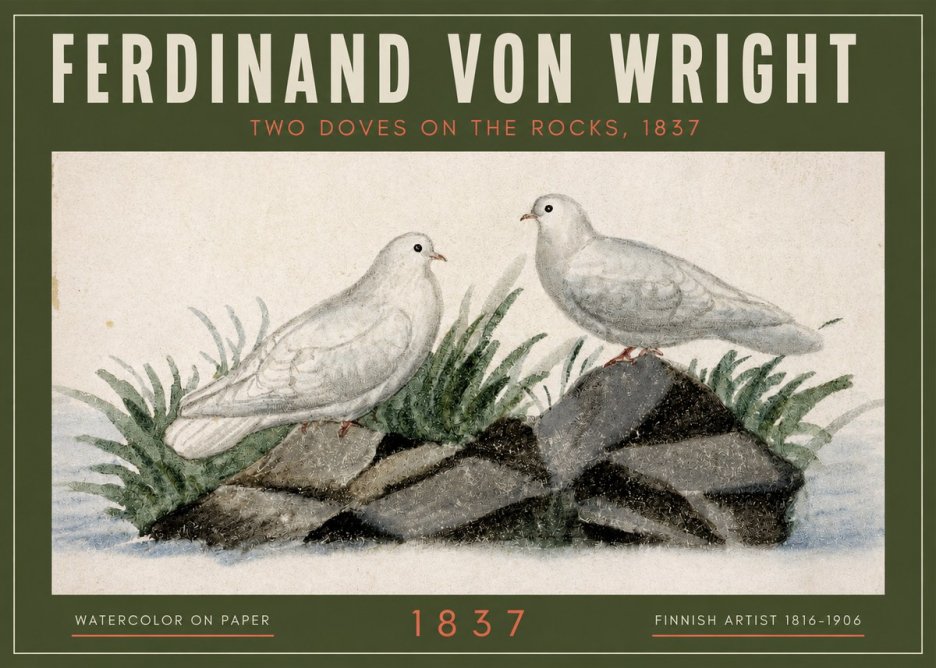 Ferdinand von Wright Two Doves on the Rocks, 1837 No2 - Plakát