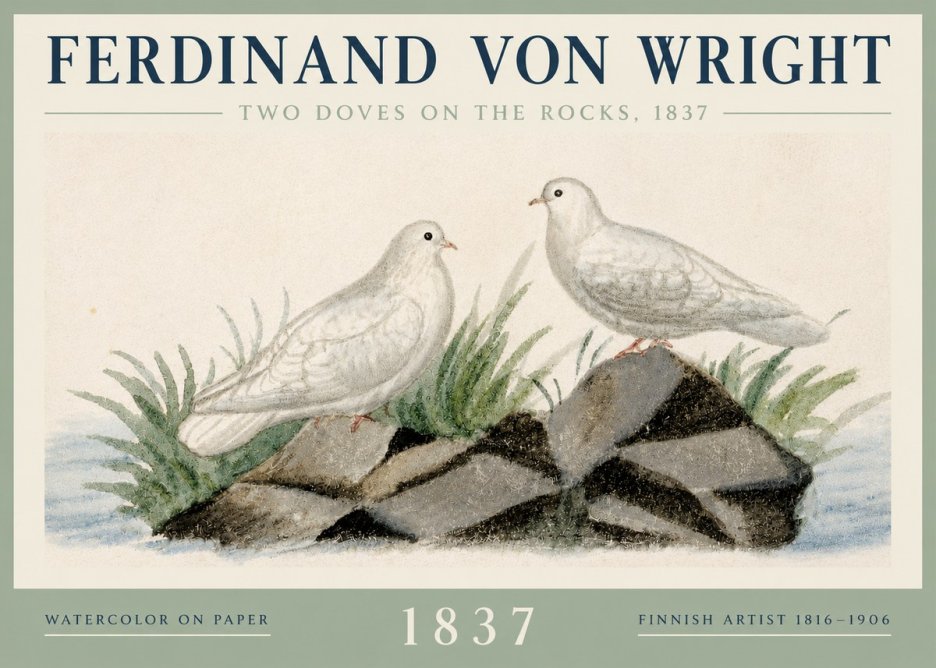 Ferdinand von Wright Two Doves on the Rocks, 1837 No3 - Plakát