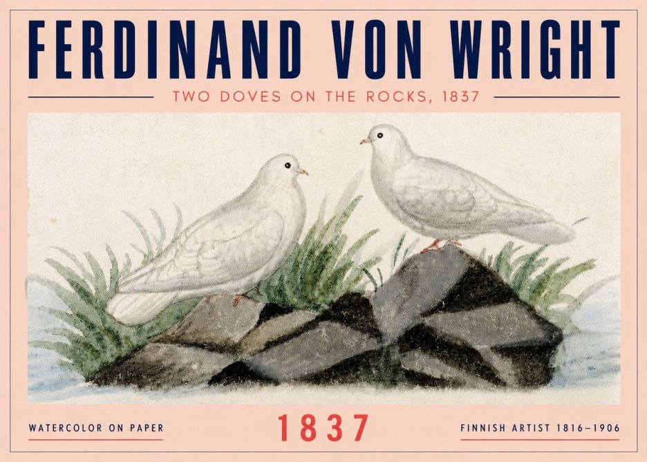 Ferdinand von Wright Two Doves on the Rocks, 1837 No4 - Plakát