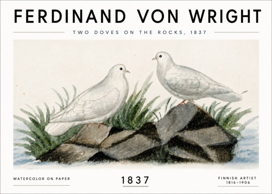 Ferdinand von Wright Two Doves on the Rocks, 1837 No6 - Plakát
