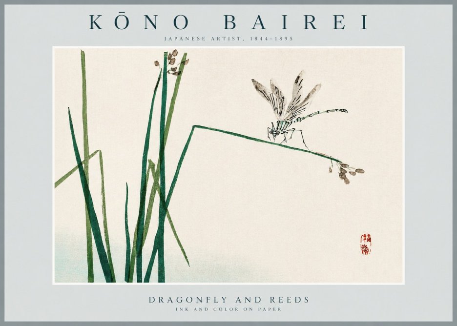Kōno Bairei Dragonfly and Reeds No2 - Plakát