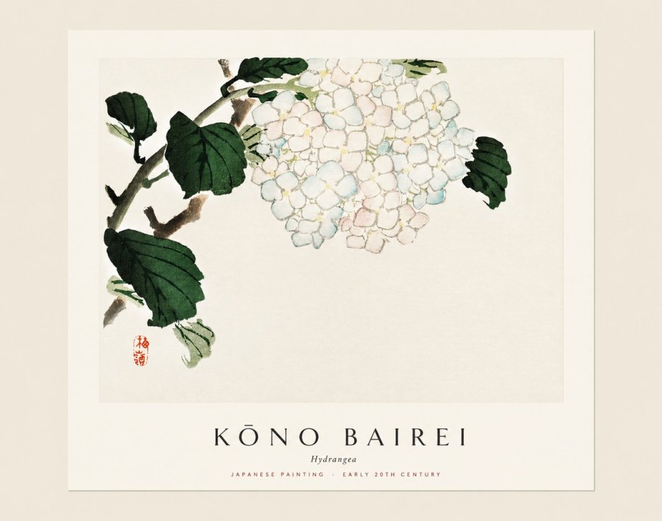 Kōno Bairei Hydrangea No1 - Plakát