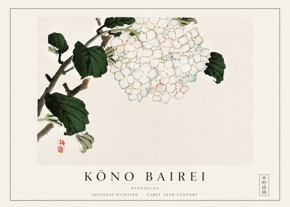 Kōno Bairei Hydrangea No3 - Plakát
