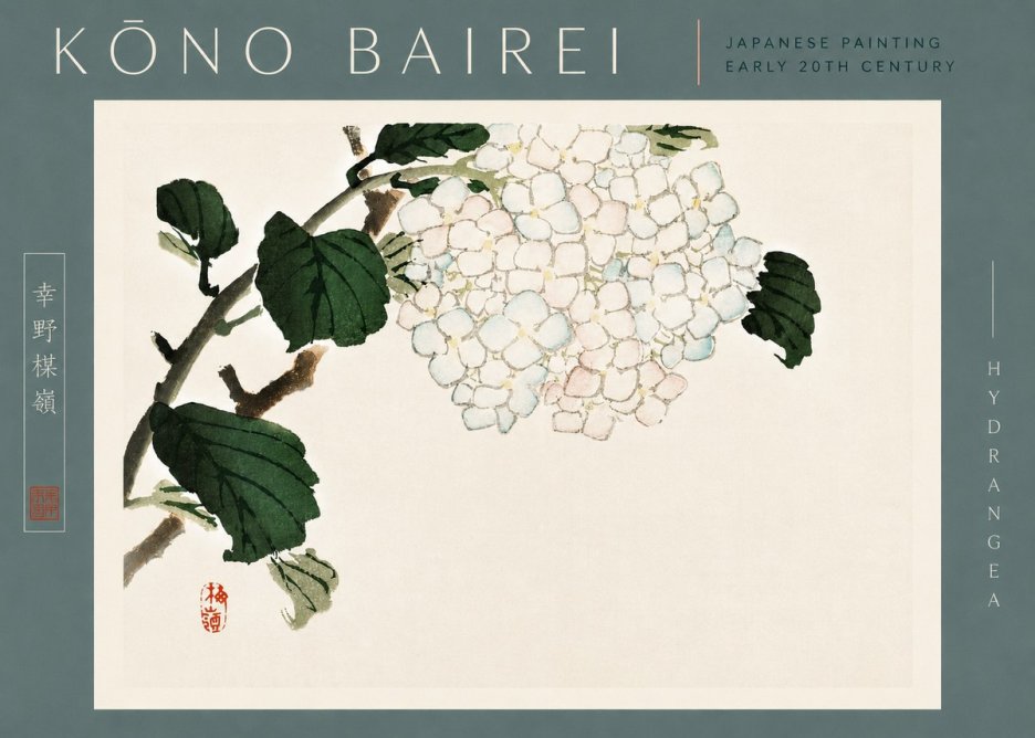 Kōno Bairei Hydrangea No4 - Plakát