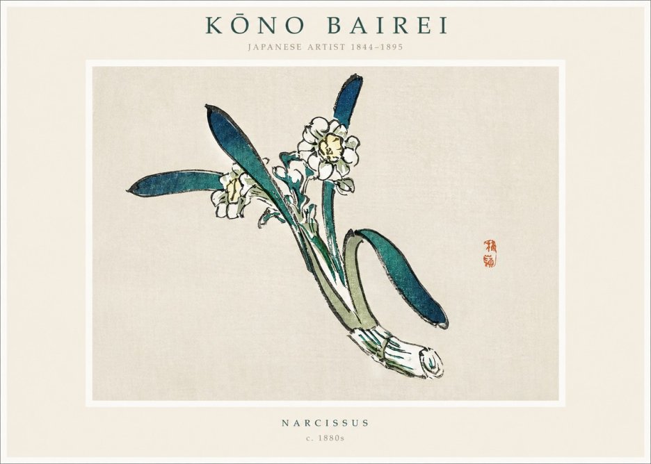 Kōno Bairei Narcissus No1 - Plakát