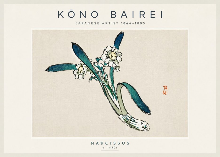 Kōno Bairei Narcissus No4 - Plakát
