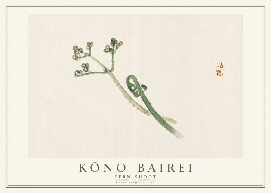 Kōno Bairei Fern Shoot No5 - Plakát