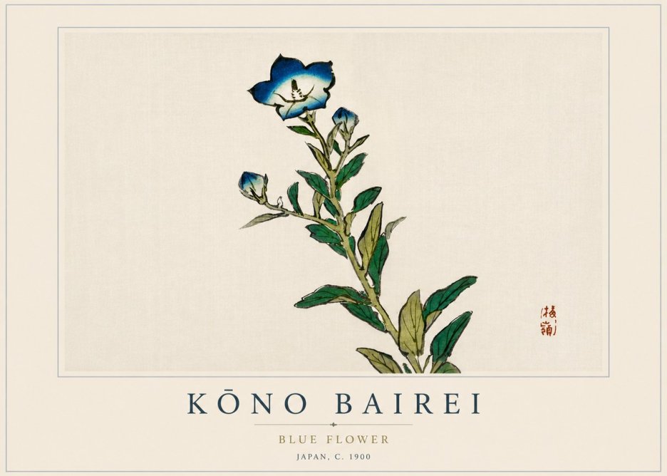 Kōno Bairei Blue Flower No4 - Plakát