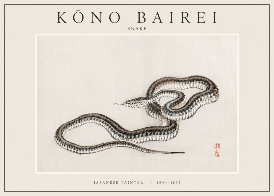 Kōno Bairei Snake No1 - Plakát