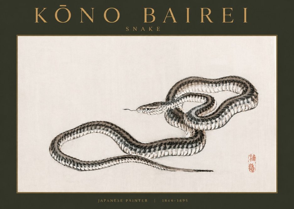 Kōno Bairei Snake No3 - Plakát